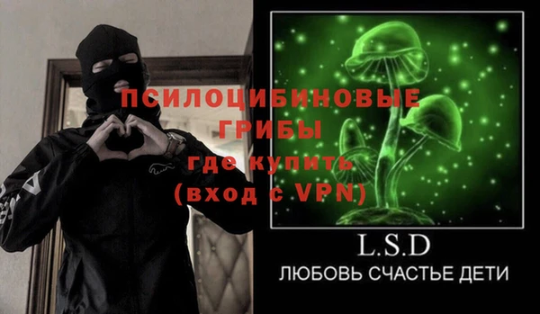 индика Балахна