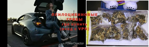 дурь Баксан