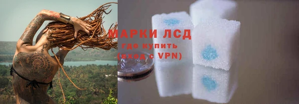 индика Балахна