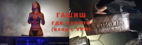 индика Балахна
