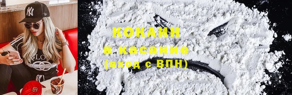 индика Балахна