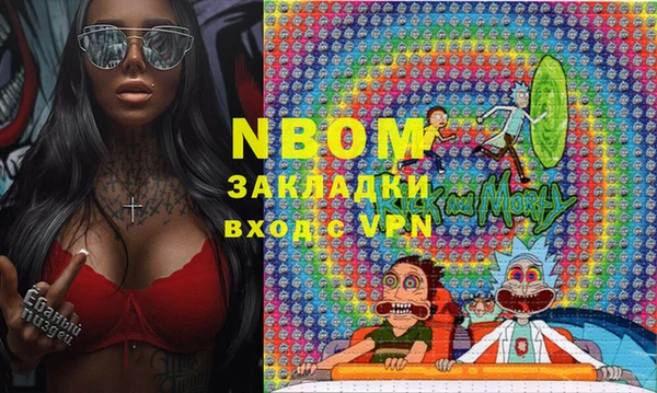 индика Балахна