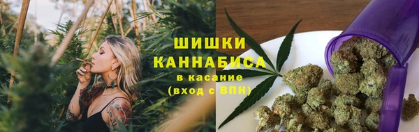 индика Балахна