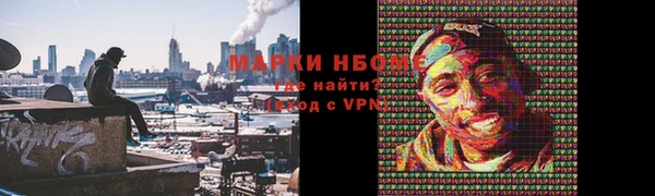 индика Балахна