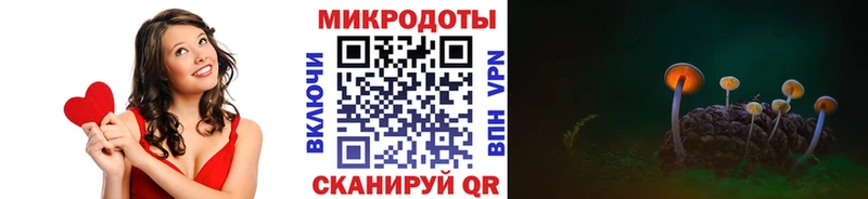 где купить   Белёв  Галлюциногенные грибы Magic Shrooms 
